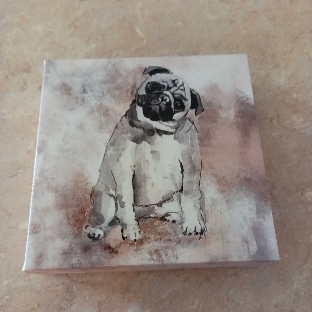 Pug canvas